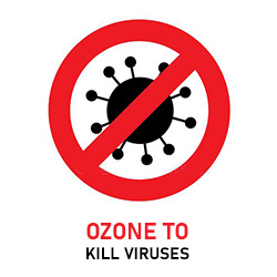 We use Ozone in our air filtration system to kill any airborne viruses and bacteria